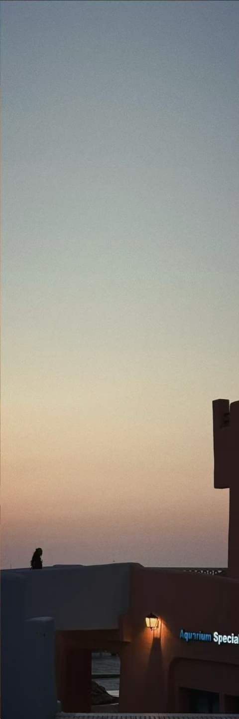 A figure alone on a low roof at dusk, the sky graded from grey-blue to peach above an unlit sea.