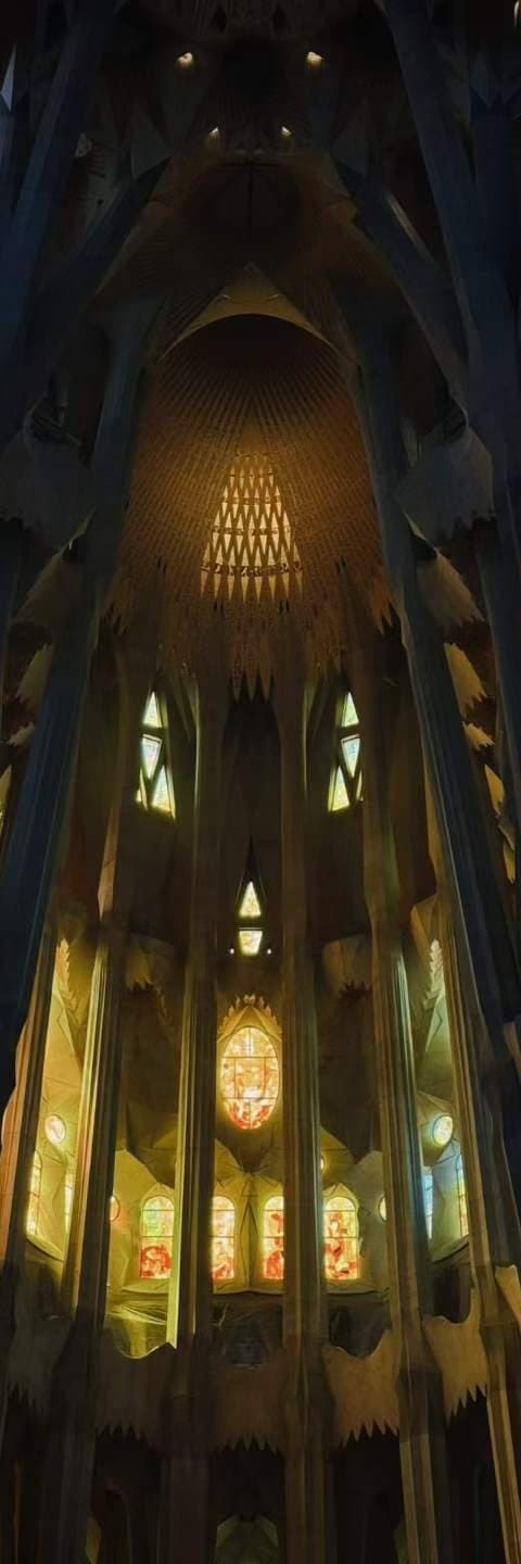 Branching stone columns rising into a nave, lit amber by late window light.