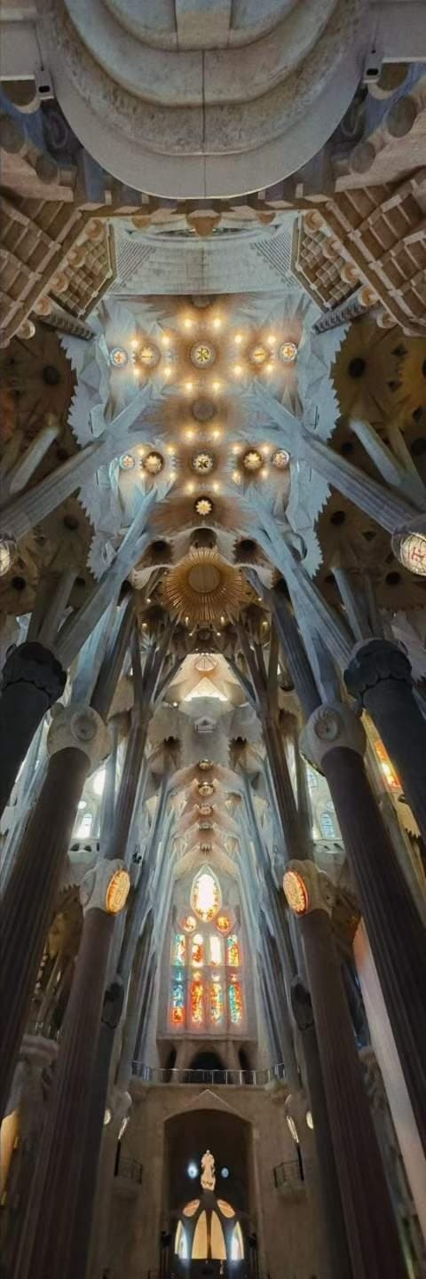 The inside of a cathedral vault seen straight up, ribbed stone opening into starred skylights.